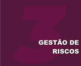 Seção 3 - Gestão de Riscos